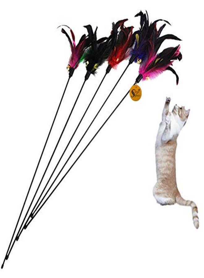 Sage Square 50 cm Jumbo Size Pet Friendly Cat Toy/Feather Teaser Stick/Training Toy for Cat/Kitten/Puppy (1 Pcs) - Image 5